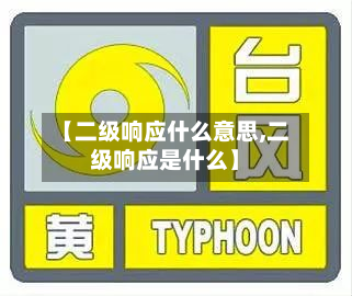 【二级响应什么意思,二级响应是什么】-第3张图片