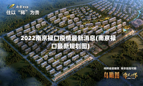 2022南京禄口疫情最新消息(南京禄口最新规划图)
