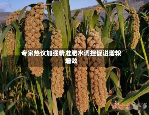 专家热议加强精准肥水调控促进增粮增效-第2张图片
