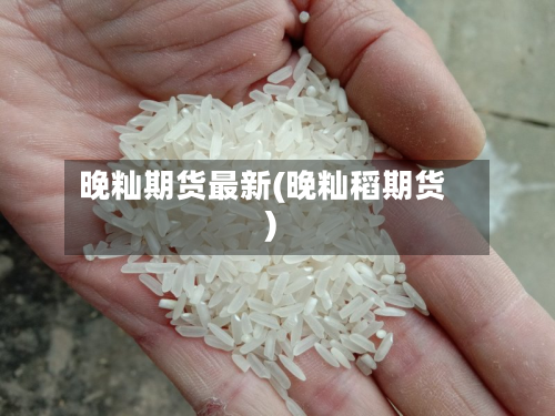 晚籼期货最新(晚籼稻期货)