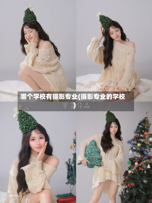 哪个学校有摄影专业(摄影专业的学校)-第2张图片