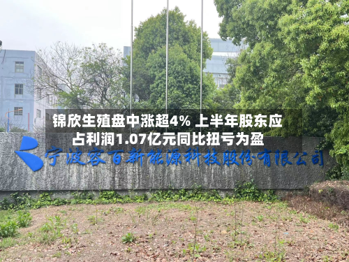 锦欣生殖盘中涨超4% 上半年股东应占利润1.07亿元同比扭亏为盈-第2张图片