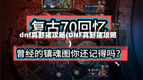 dnf真野猪攻略(DNF真野猪攻略)