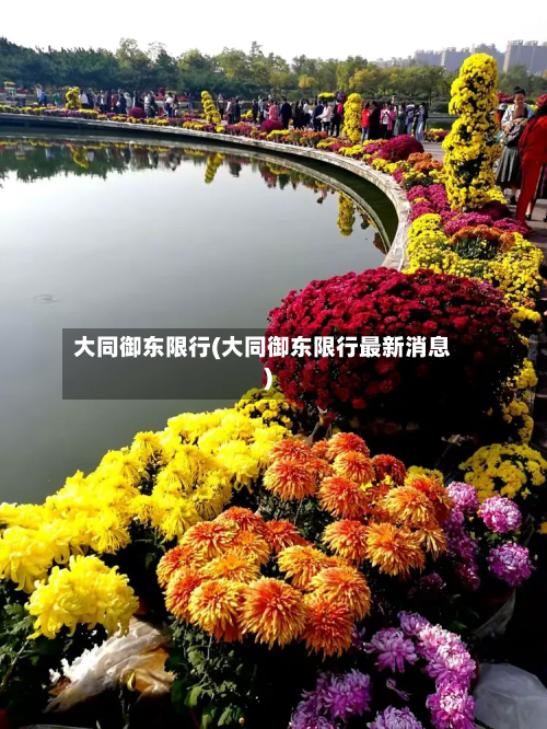 大同御东限行(大同御东限行最新消息)