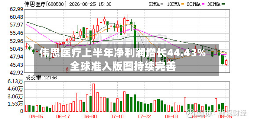 伟思医疗上半年净利润增长44.43% 全球准入版图持续完善-第3张图片
