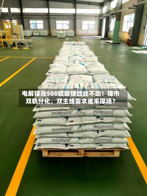 电解镍涨500硫酸镍纹丝不动！镍市双轨分化，双主线需求谁来撑场？-第1张图片