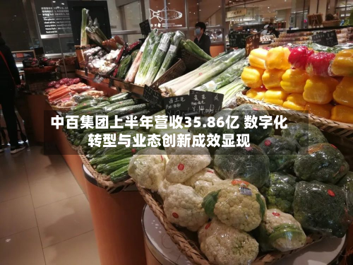 中百集团上半年营收35.86亿 数字化转型与业态创新成效显现-第2张图片