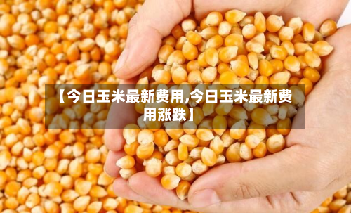 【今日玉米最新费用,今日玉米最新费用涨跌】-第3张图片