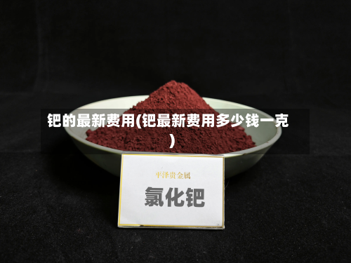 钯的最新费用(钯最新费用多少钱一克)-第3张图片