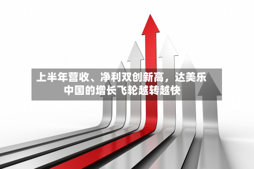 上半年营收、净利双创新高,达美乐中国的增长飞轮越转越快-第3张图片