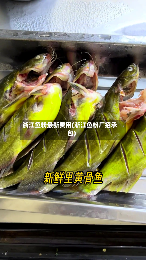 浙江鱼粉最新费用(浙江鱼粉厂招承包)