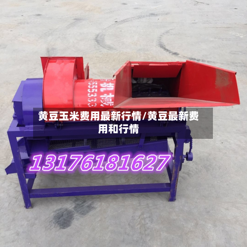 黄豆玉米费用最新行情/黄豆最新费用和行情