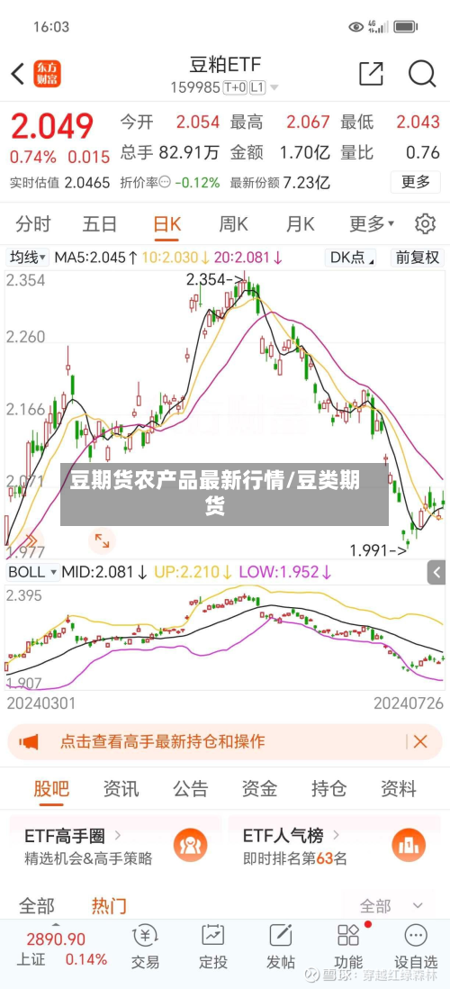 豆期货农产品最新行情/豆类期货-第3张图片
