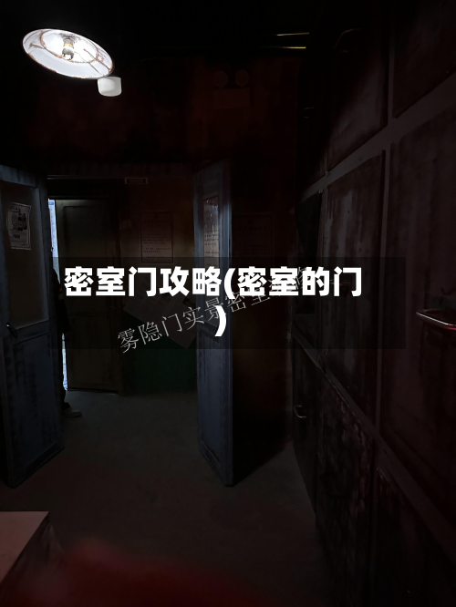 密室门攻略(密室的门)-第2张图片