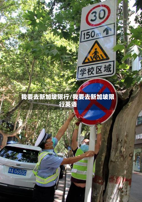 我要去新加坡限行/我要去新加坡限行英语-第2张图片