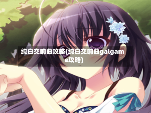 纯白交响曲攻略(纯白交响曲galgame攻略)