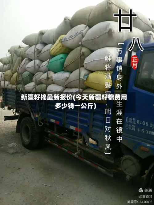 新疆籽棉最新报价(今天新疆籽棉费用多少钱一公斤)-第2张图片