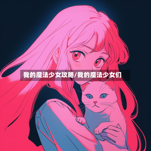 我的魔法少女攻略/我的魔法少女们