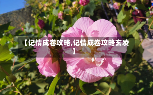 【记情成卷攻略,记情成卷攻略玄凌】-第1张图片