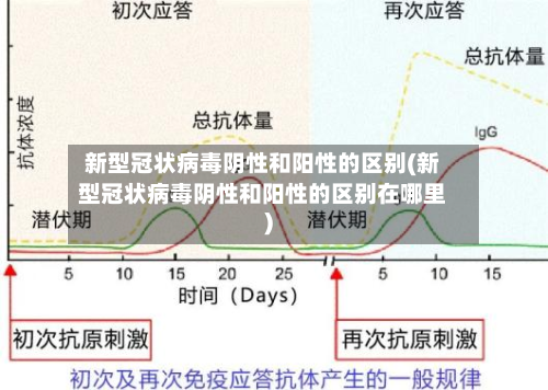 新型冠状病毒阴性和阳性的区别(新型冠状病毒阴性和阳性的区别在哪里)
