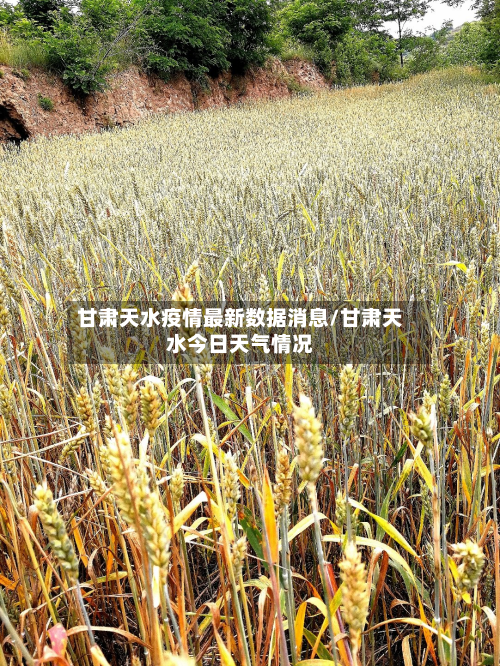 甘肃天水疫情最新数据消息/甘肃天水今日天气情况