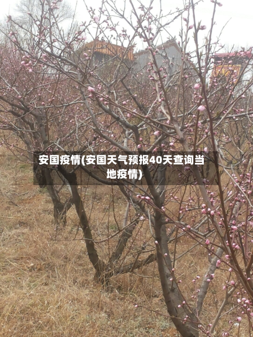 安国疫情(安国天气预报40天查询当地疫情)-第2张图片