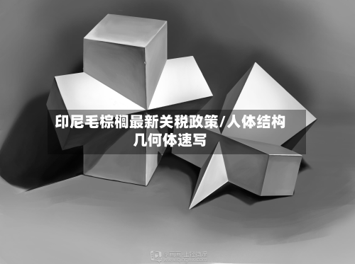 印尼毛棕榈最新关税政策/人体结构几何体速写-第1张图片