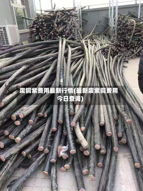 废铜紫费用最新行情(最新废紫铜费用今日查询)