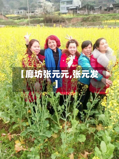 【廊坊张元元,张元发】