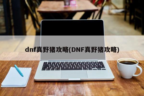 dnf真野猪攻略(DNF真野猪攻略)