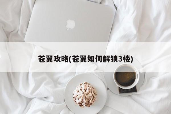 苍翼攻略(苍翼如何解锁3楼)