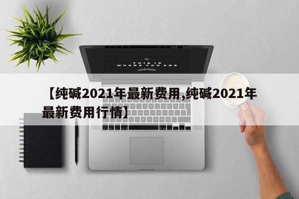 【纯碱2021年最新费用,纯碱2021年最新费用行情】