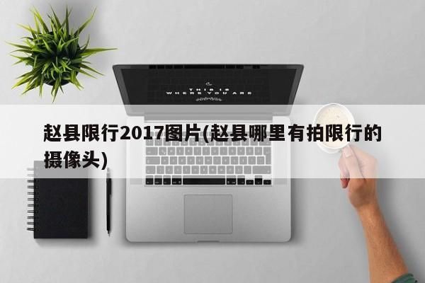 赵县限行2017图片(赵县哪里有拍限行的摄像头)