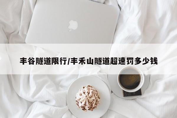 丰谷隧道限行/丰禾山隧道超速罚多少钱